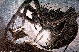 Shelob